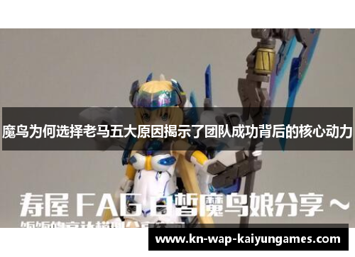 魔鸟为何选择老马五大原因揭示了团队成功背后的核心动力