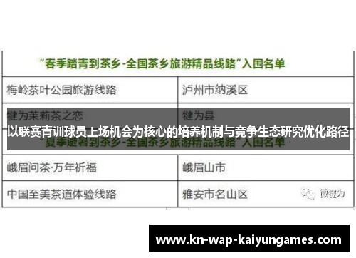 以联赛青训球员上场机会为核心的培养机制与竞争生态研究优化路径 以联赛青训球员上场机会为核心的培养机制与竞争生态研究优化路径