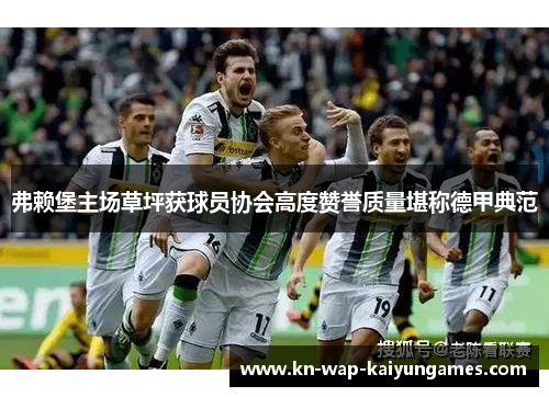 弗赖堡主场草坪获球员协会高度赞誉质量堪称德甲典范 弗赖堡主场草坪获球员协会高度赞誉质量堪称德甲典范