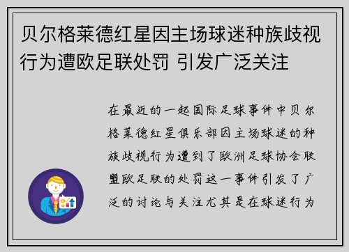 贝尔格莱德红星因主场球迷种族歧视行为遭欧足联处罚 引发广泛关注